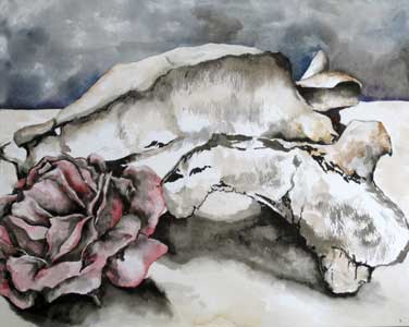 Bone and Rose Watercolor